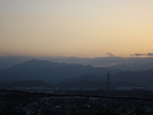 2013311.jpg