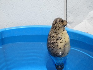 s-IMG_0800.jpg