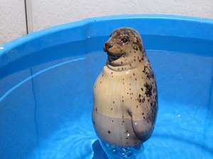s-IMG_0801.jpg